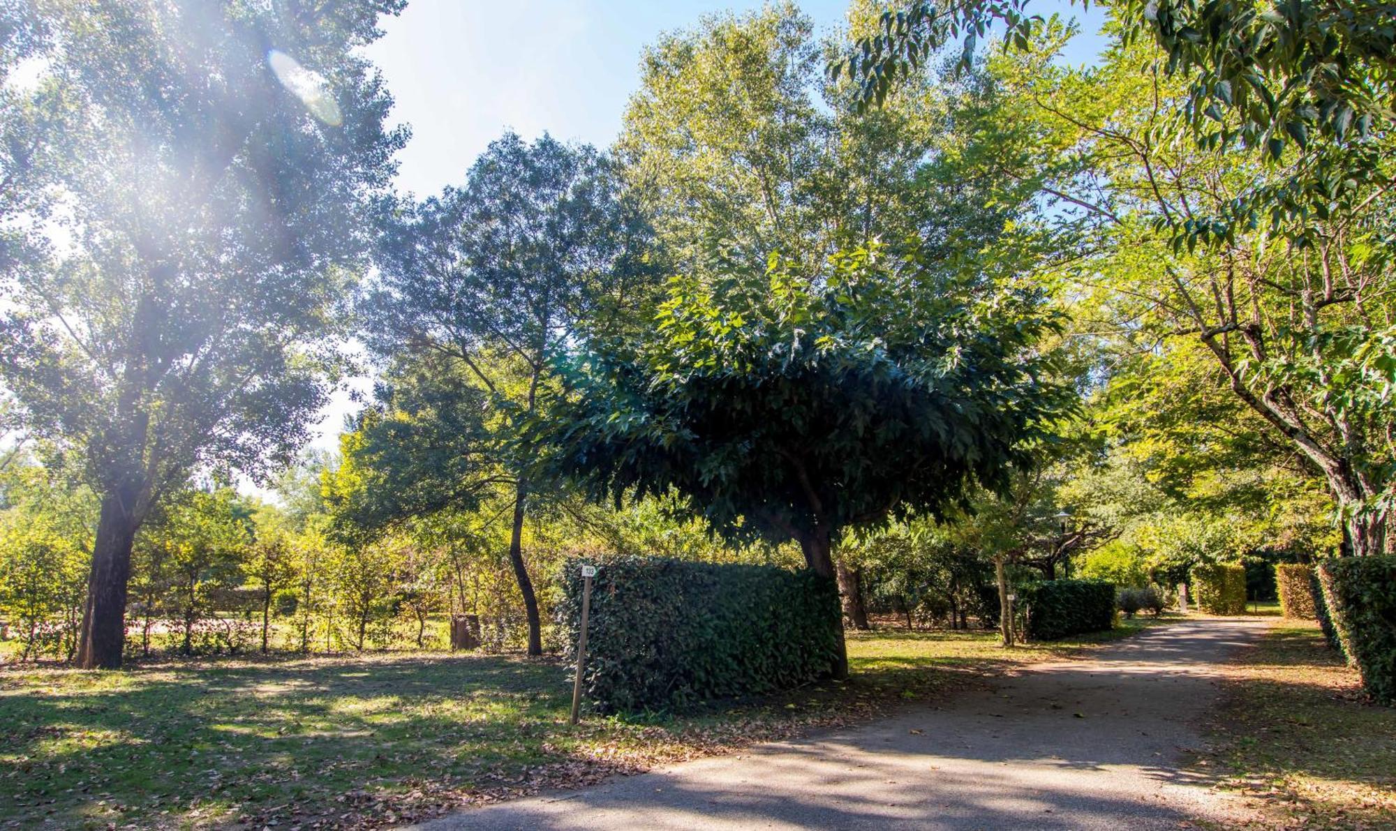 Hotel Du Cros D'Auzon Saint-Maurice-dʼArdèche Eksteriør billede
